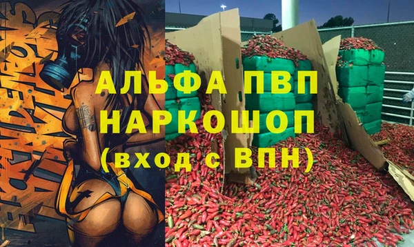 a pvp Алзамай