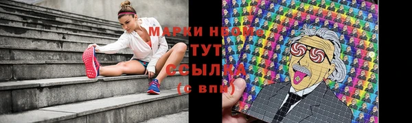 a pvp Алзамай