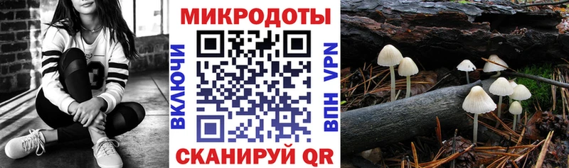 продажа наркотиков  Приморск  Псилоцибиновые грибы Psilocybe 